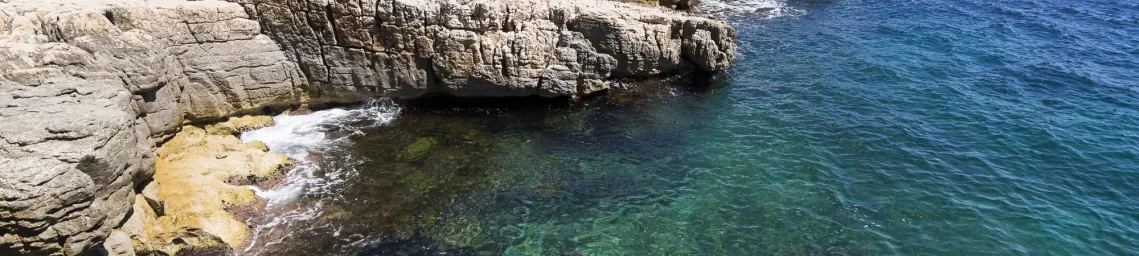 Comment voir les images