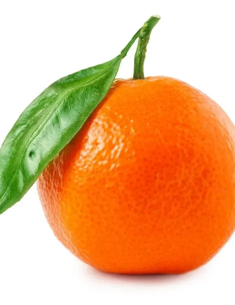 Psssschhhiit Orange