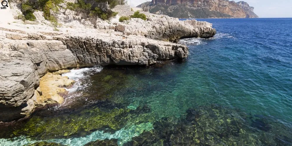 Quante autem vis amicitiae